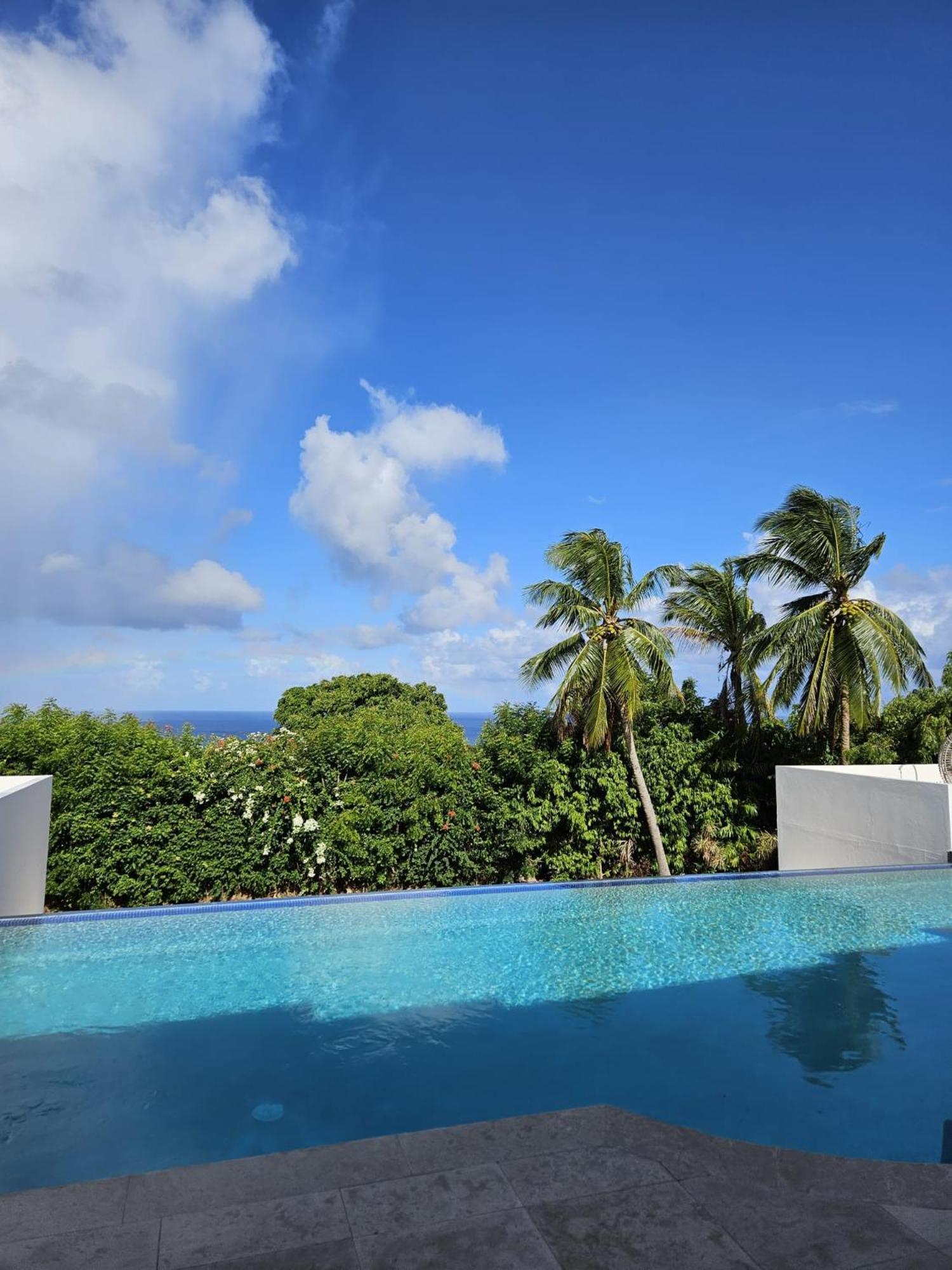 Purple Haze - Infinity Pool Holiday Home Minutes From The Island'S Best Beaches Saint James Esterno foto